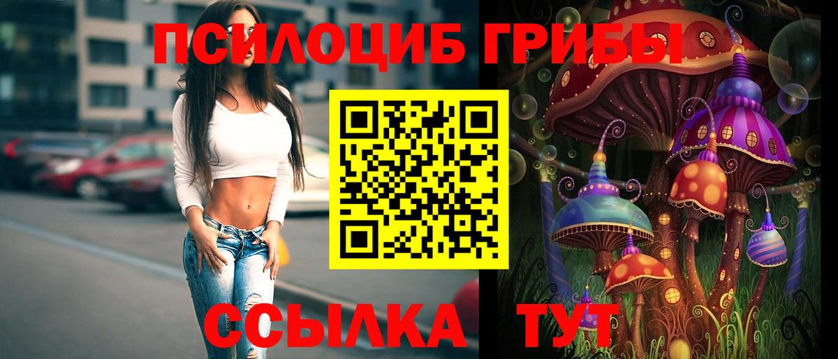 Берёзовский  Псилоцибиновые грибы Cubensis  Галлюциногенные грибы Psilocybine cubensis  Вход с VPN 