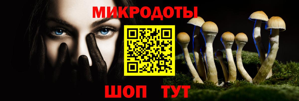 Псилоцибиновые грибы Psilocybe Берёзовский
